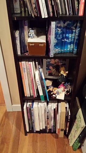 Book Shelf 2